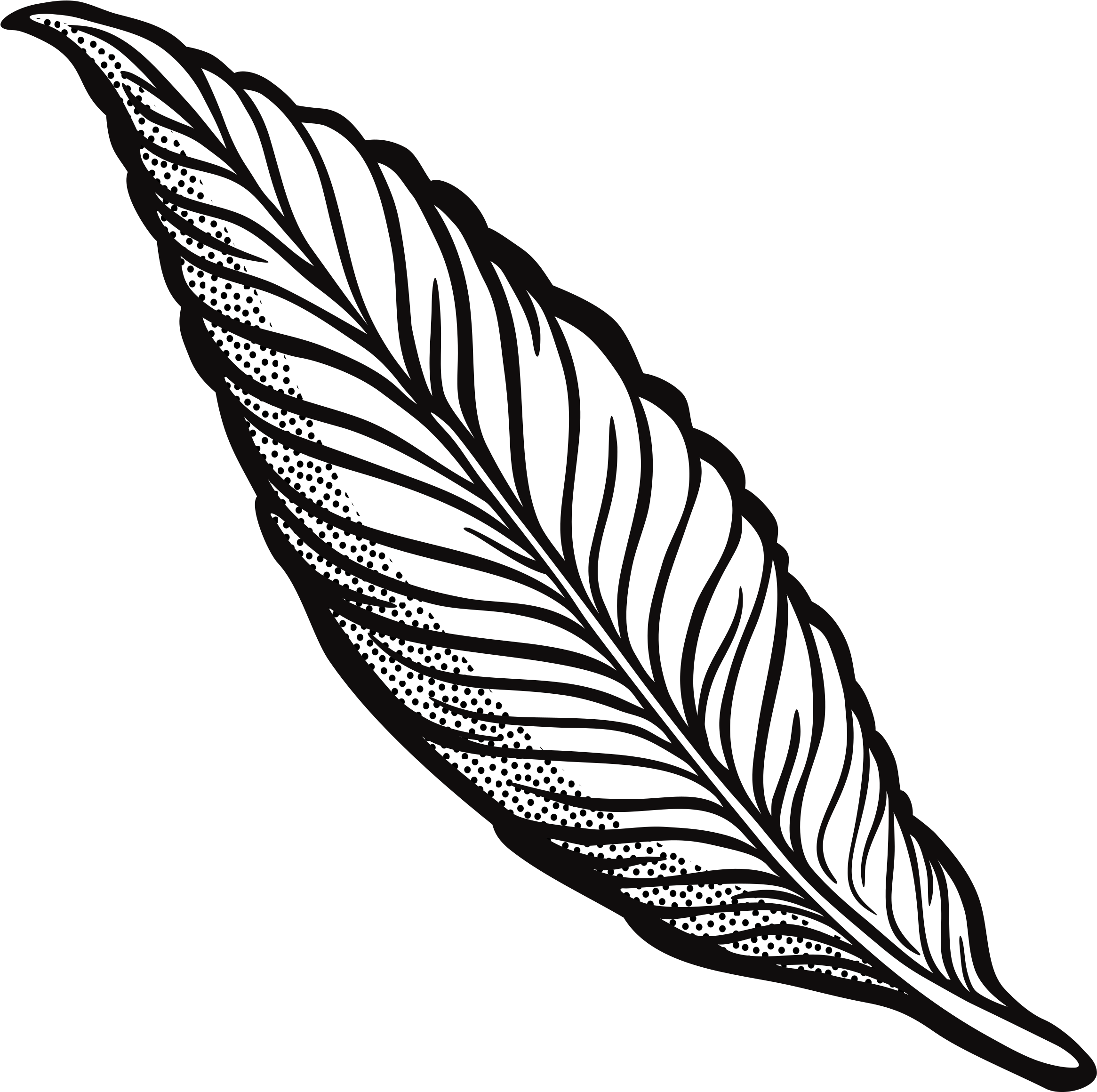 Clipart - Feather Clipart Transparent (2400x2400)