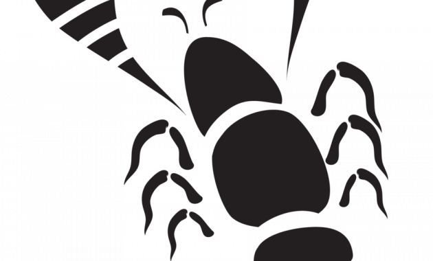 Jpg Black And White Stock Tribal Art Archives Library - Vector Png Lobster (630x380)