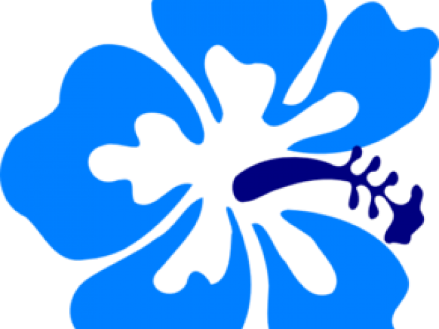 Yellow Flower Clipart Gumamela - Big Island Tv Logo (640x480)