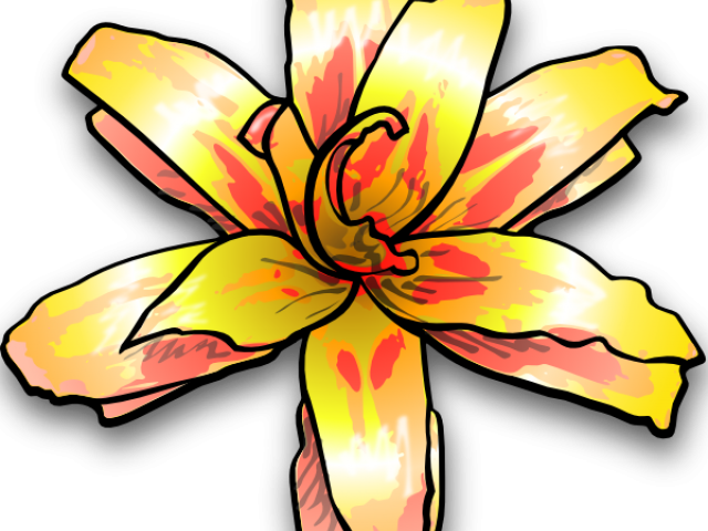 Yellow Flower Clipart Jungle - Yellow Flower Clip Art (640x480)