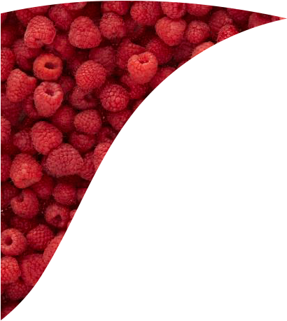 You'll Earn 1 Point On Every Dollar* You Spend To Get - Frutti Di Bosco (409x514)