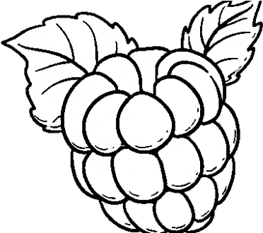 Splendid Raspberry Coloring Page Coloringcrew Com Torte - Frambuesa Dibujo (585x329)