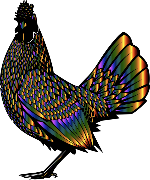 Rooster Chicken Poultry Farming Fowl Animal - Chicken (624x750)