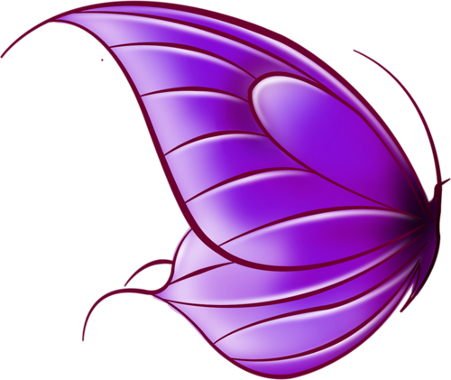 Butterfly Books, Butterfly Fairy, Album, Pretty, Pattern, - Drawing (500x421)