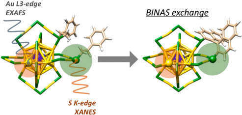Jan Helbing And Eric Vauthey Dereka, Bogdan Helbing, - Jan Helbing And Eric Vauthey Dereka, Bogdan Helbing, (500x241)