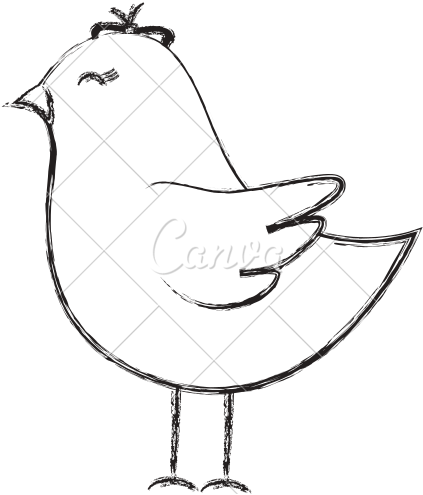 Hatch Drawing Bird - Sketch (550x550)