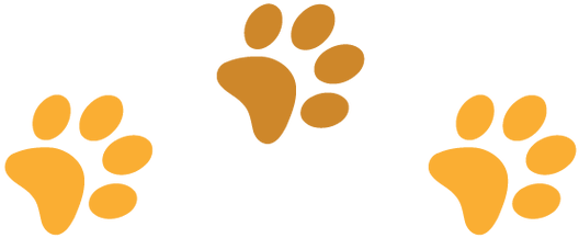 We Welcome You To Magnolia - Youtube (600x243)