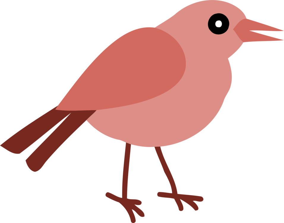 All Photo Png Clipart - Bird (956x750)