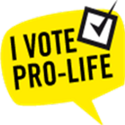 Vote Pro-life - Aimbot Memes (400x400)