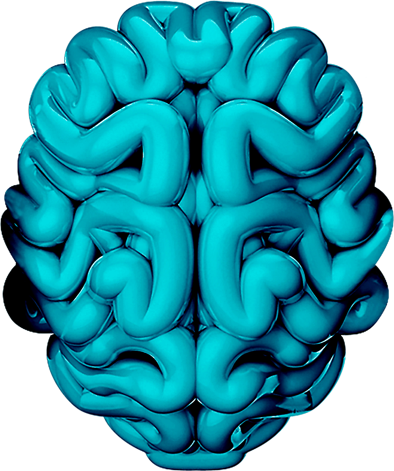 Curious Facts About Slovenia - Neurology Poster (800x956)