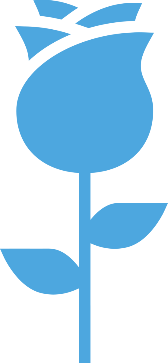 Pro-life Education And Outreach - Pro-life Education And Outreach (557x1200)