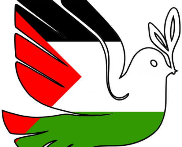 Peace Dove Clipart Palestine - Palestina Paz (640x480)