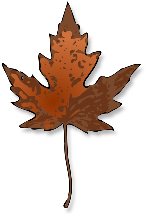 All Photo Png Clipart - Maple Leaf Clip Art (508x750)