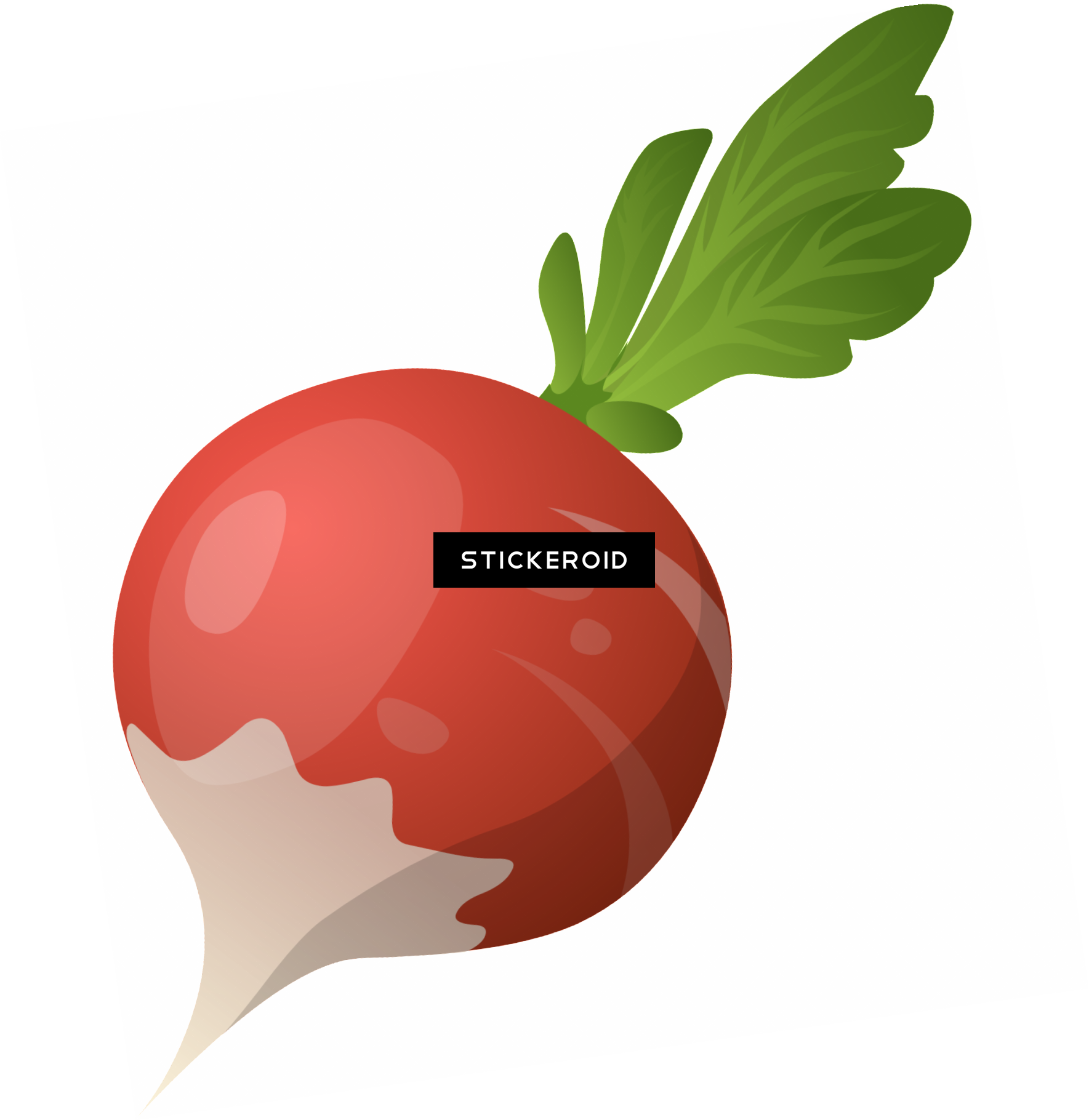 Beet Vegetables - Vector Illustration Of A Radish Fidget Spinner Keychain, (1769x1820)