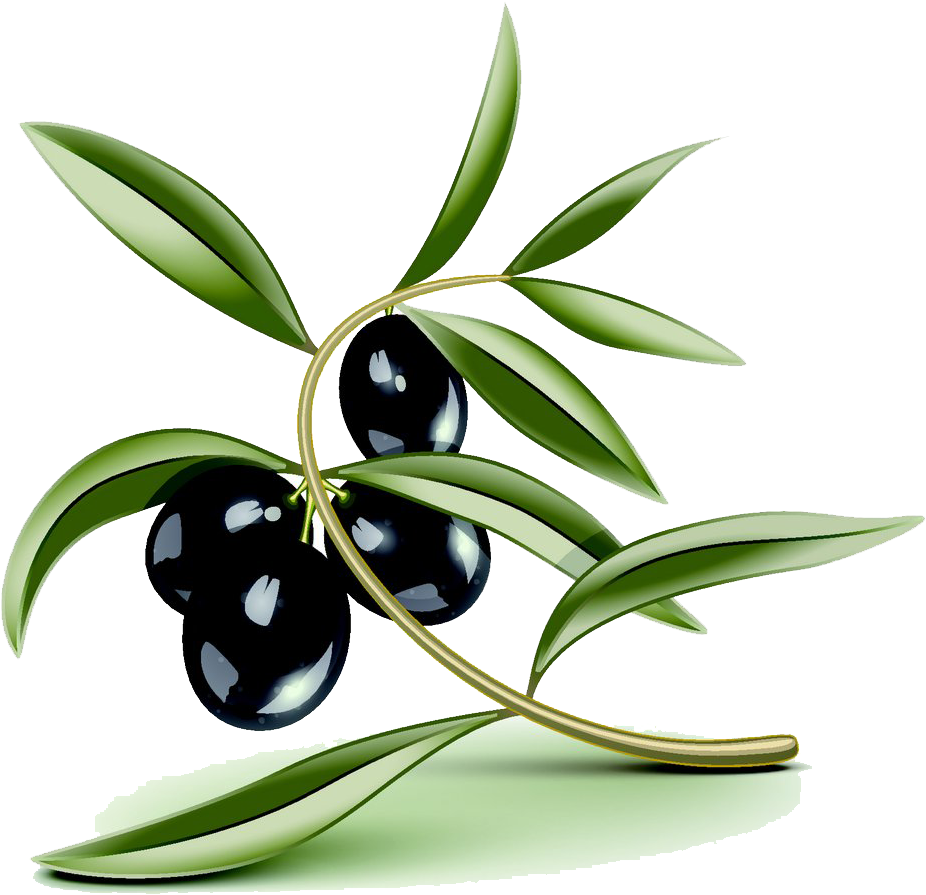 Olive Oil Stock Photography Cartoon Pictures - Hoja De Olivo Fondo Transparente (1000x953)