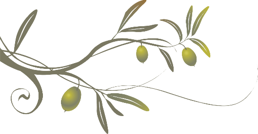 Olive Tree Branch - Olive Tree Branch Png (529x276)