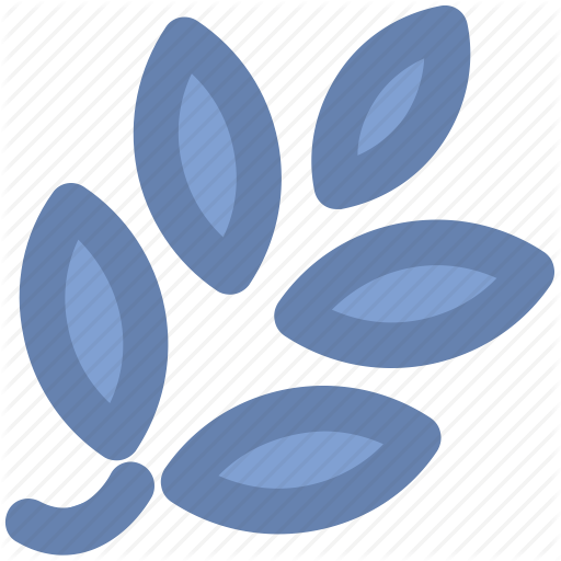 Image Transparent Download Barley Vector Oat - Circle (512x512)