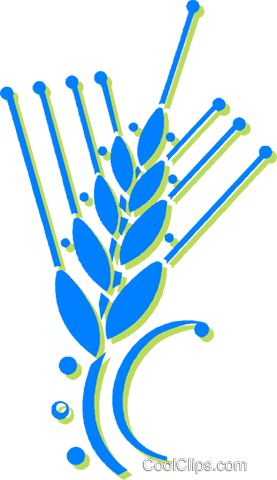 Unprocessed Grain Royalty Free Vector Clip Art Illustration - Plant Stem (277x480)