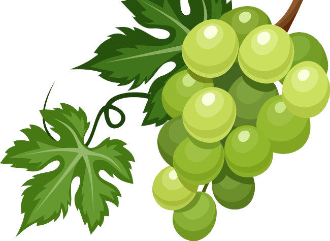 Raisins Verts / Lb - Uvas Verdes Animadas (650x474)