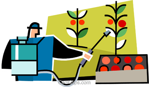 Person Watering The Tomatoes Royalty Free Vector Clip - Person Watering The Tomatoes Royalty Free Vector Clip (480x281)