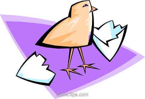 Hatched Chick Royalty Free Vector Clip Art Illustration - Hatched Chick Royalty Free Vector Clip Art Illustration (480x327)