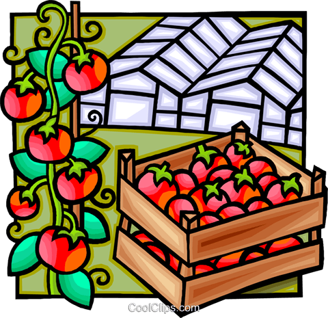 Green House, Tomatoes Royalty Free Vector Clip Art - Greenhouse (480x465)