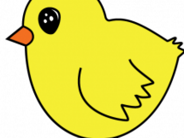 Drawn Chick - Dibujo De Un Pollito (640x480)