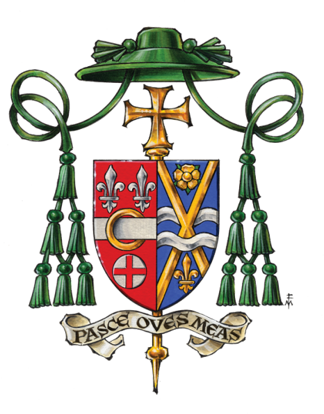Bishop Schlert Answers Questions About The Grand Jury - Coat Of Arms St Francis Assisi (476x600)