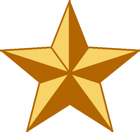 000005point - Gold Star (480x453)