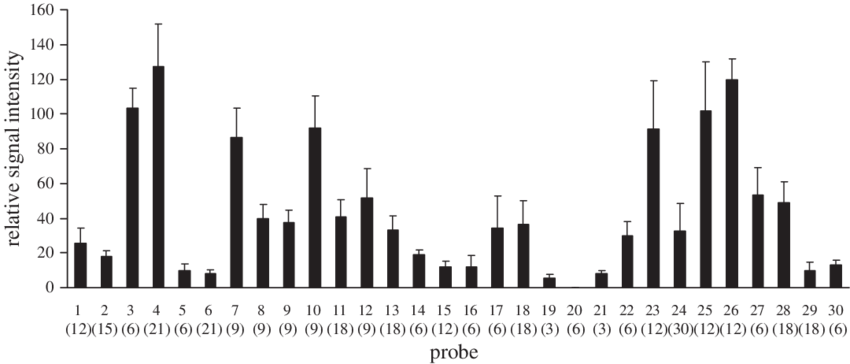 Relative Signal Intensities Of Each Probe With Its - Skyline (850x364)