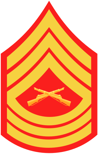 Usmc E8 Master Sergeant Usmc Emblem, Non Commissioned - Marine Corps E 8 (380x598)