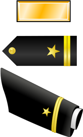 O1 - Ensign - Chief Warrant Officer 2 Insignia (322x500)