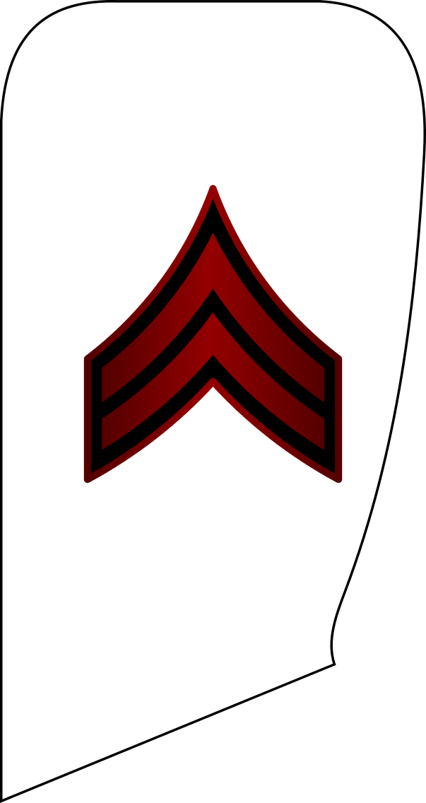 Rank Insignia - Petty Officer (603x1136)