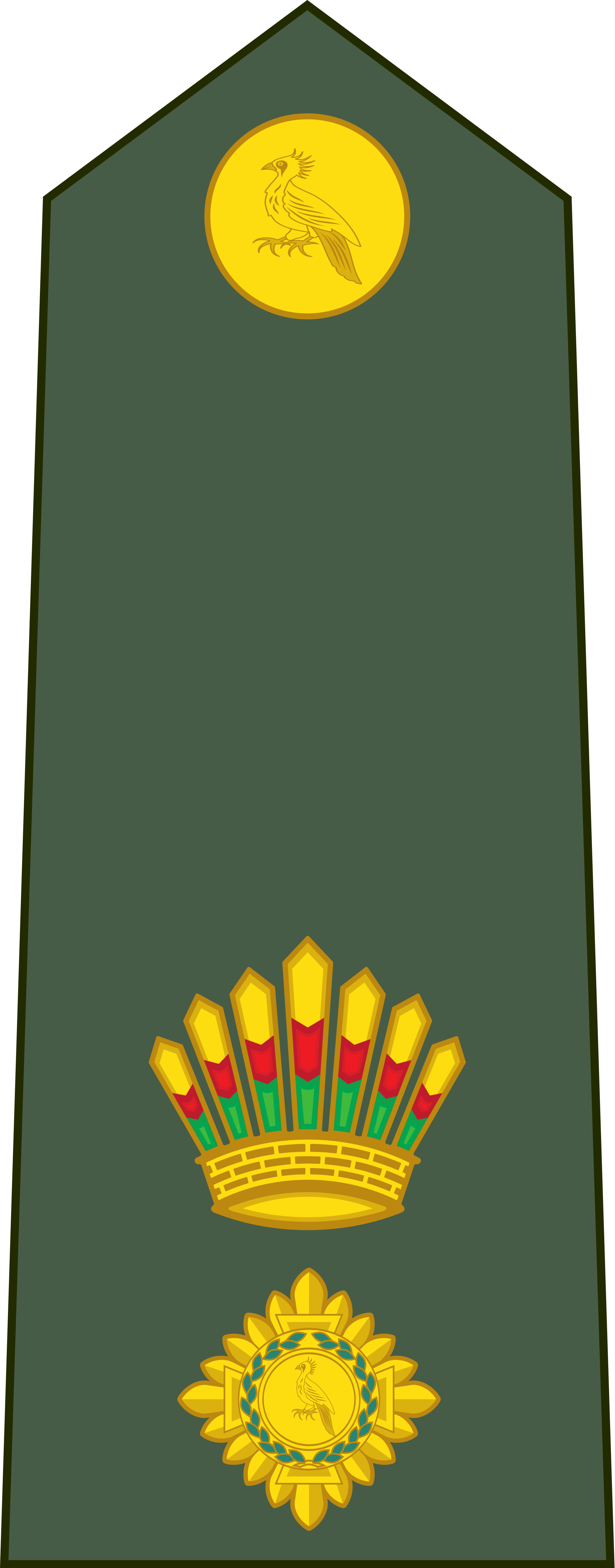 Open - Army Rank In Saudi (2000x5093)