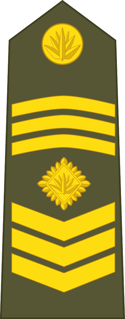 Bangladesh Army Or - Wikipedia (402x1024)