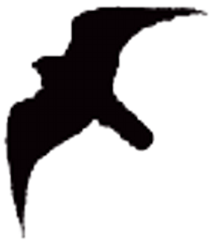 Sandra Feltmate - Peregrine Falcon Silhouette (400x400)