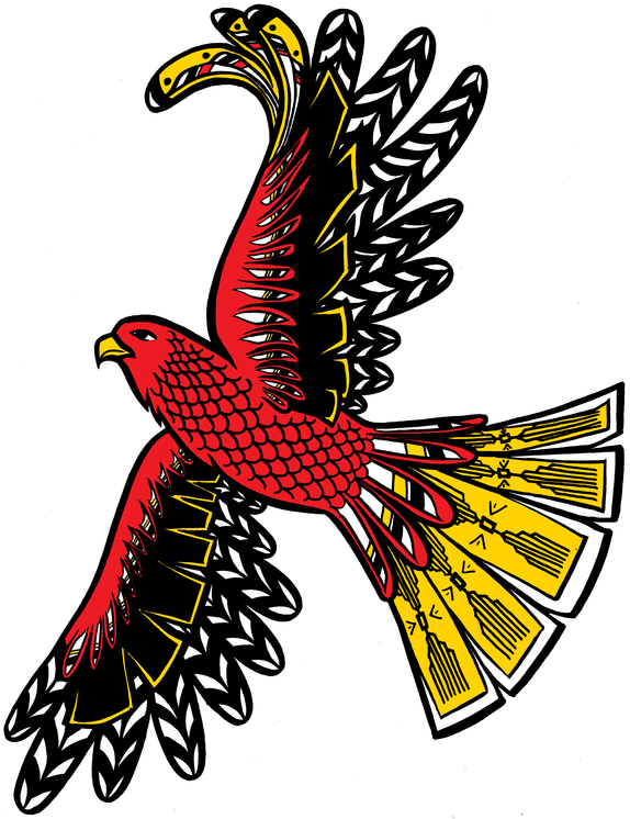 Eagles Clipart Life Cycle - Hawk (618x800)