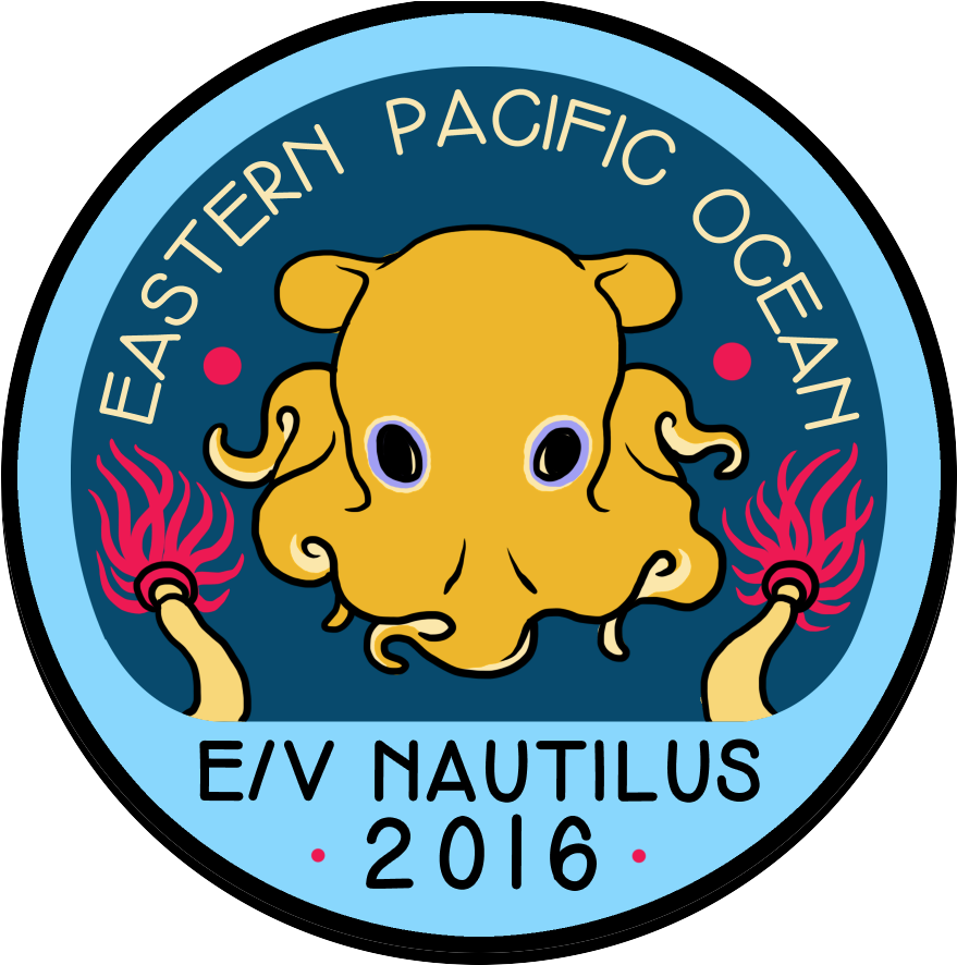 2 May - 2 May (892x890)