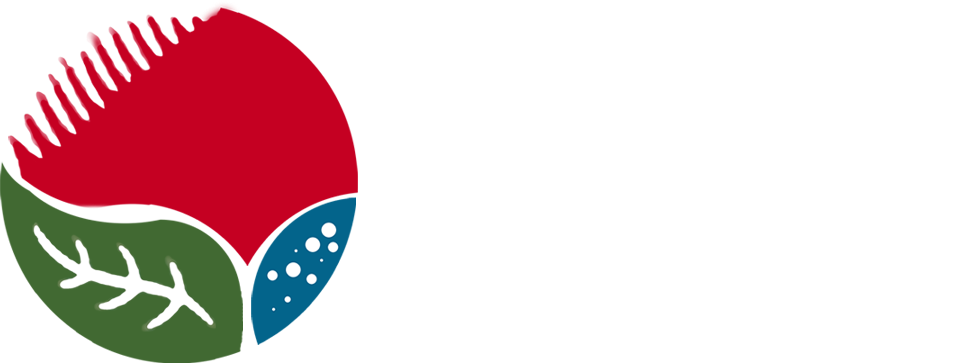 Renen Energy Solutions - Renen Energy Solutions (4238x1707)