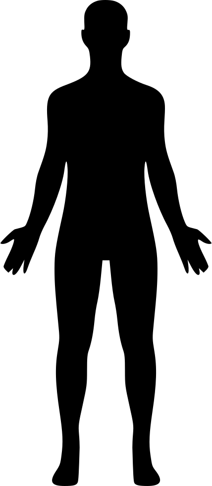 Body Svg Png Icon Free Download Onlinewebfonts - Human Body Silhouette Png (428x980)