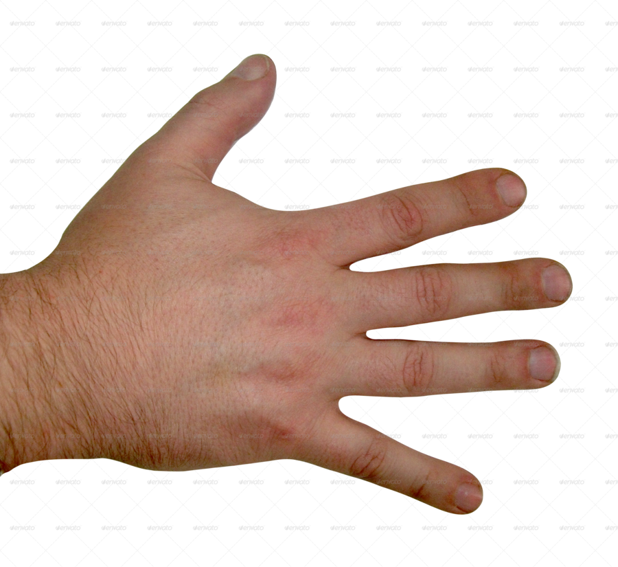 Back Of Human Hand Clipart Human Body Hand Clip Art - Back Of Hand Transparent (900x825)