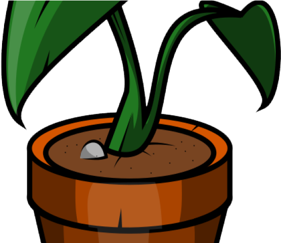 Pot Plant Clipart Pot Clip Art - Clip Art (640x480)