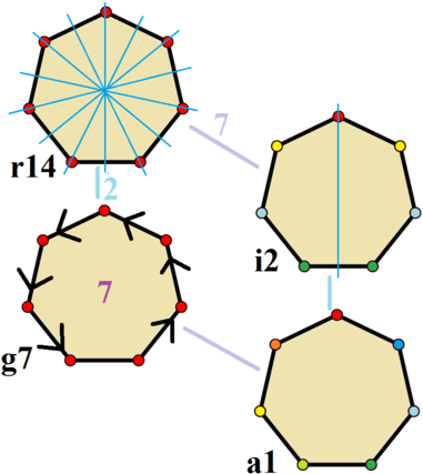 Symmetries Of A Regular Heptagon - Pentacoságono (400x449)