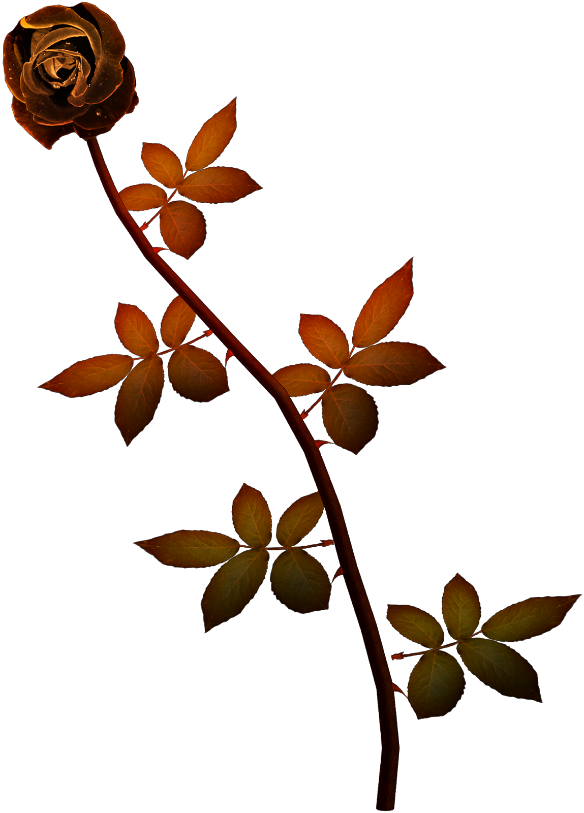 On November 2nd We Celebrate Dia De Los Muertos - Rose And Heart (1149x1600)