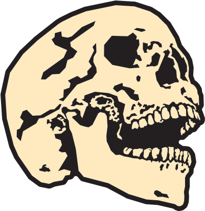 Great Selection Of Skull Art For All Your Messaging - Skull Art (400x600)