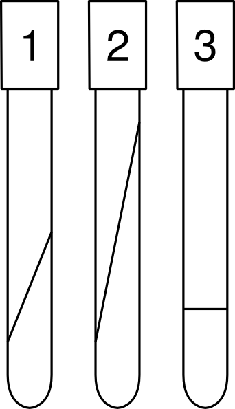 Microbiology - Clipart - Parallel (342x595)