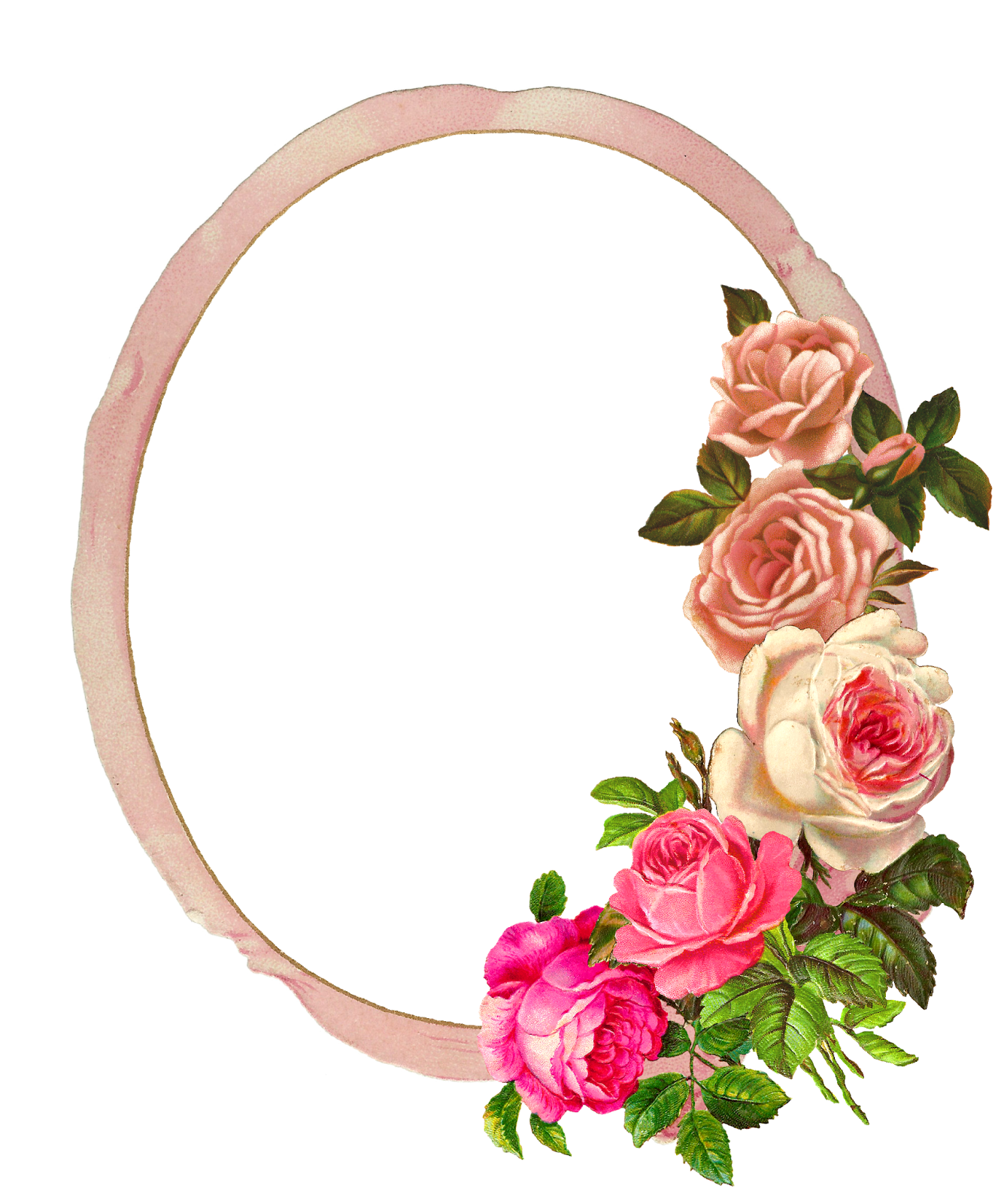 Frame Digital Flower Roses - Pink Rose Photo Frame (1335x1600)