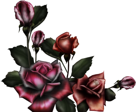 Gothc Clipart Red Rose - Gothic Flower Banner Transparent (640x480)