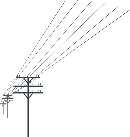 Picture Transparent Stock Silhouette At Getdrawings - Telephone Wires Png (540x572)