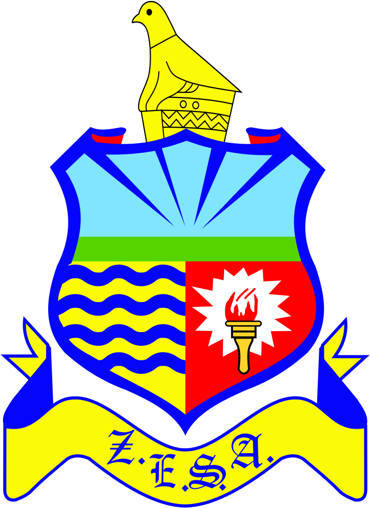 National Power Company Overview - Zesa National Training Centre (737x1023)